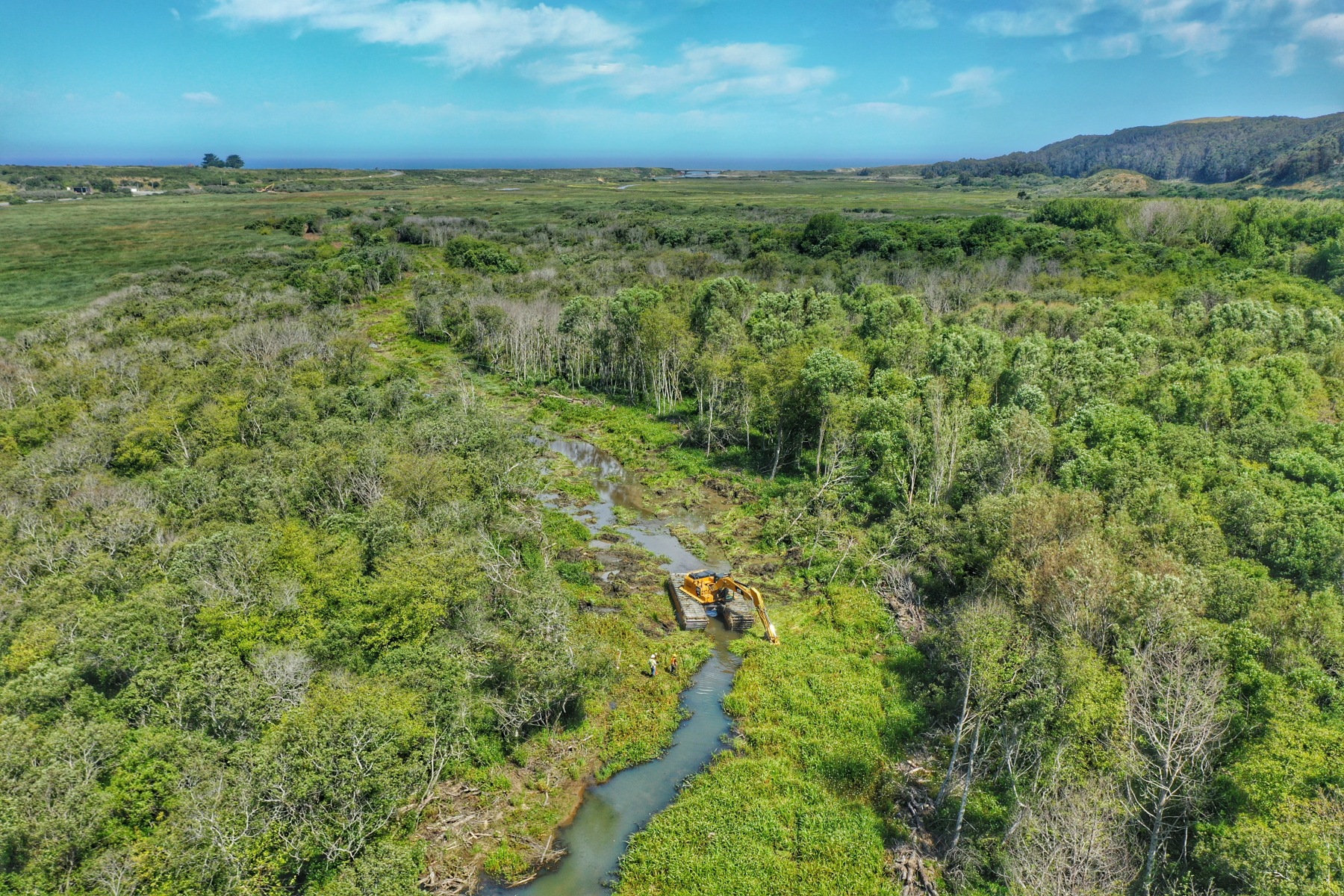 Aerial View of Butano Creek pilot channel clearing, June 2019