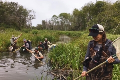 E-fishing to remove wildlife from the work area, June 2019