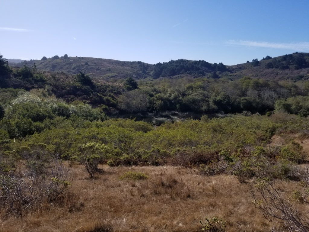 Butano Farms