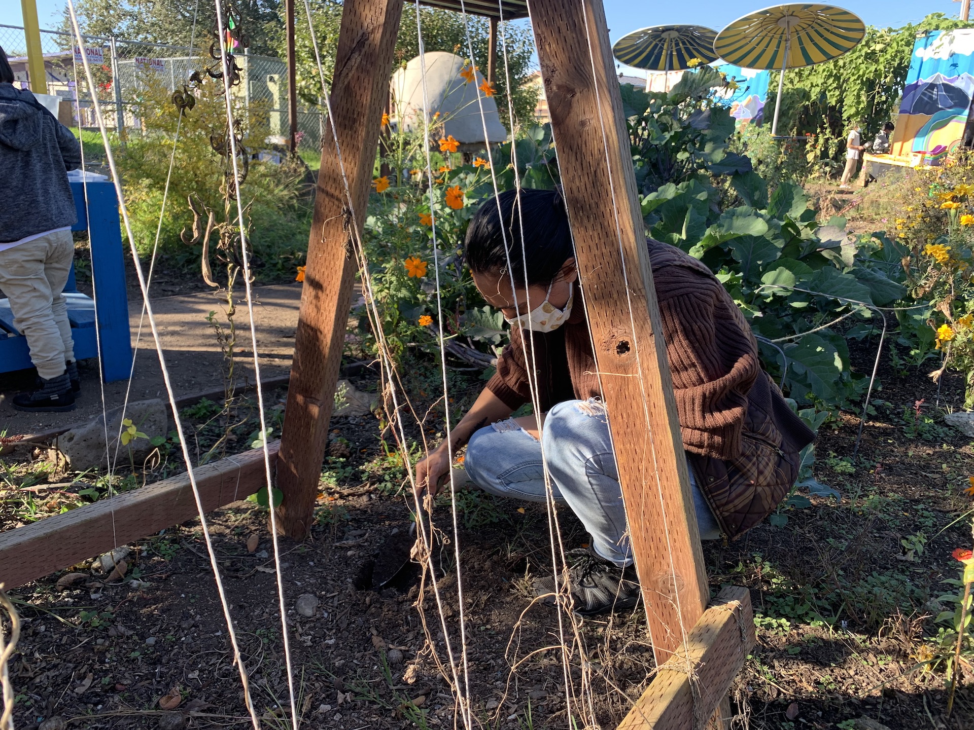 A person with dark hair and tan skin kneels beneath a trellis in a garden bed, digging a small hole with a trowel.