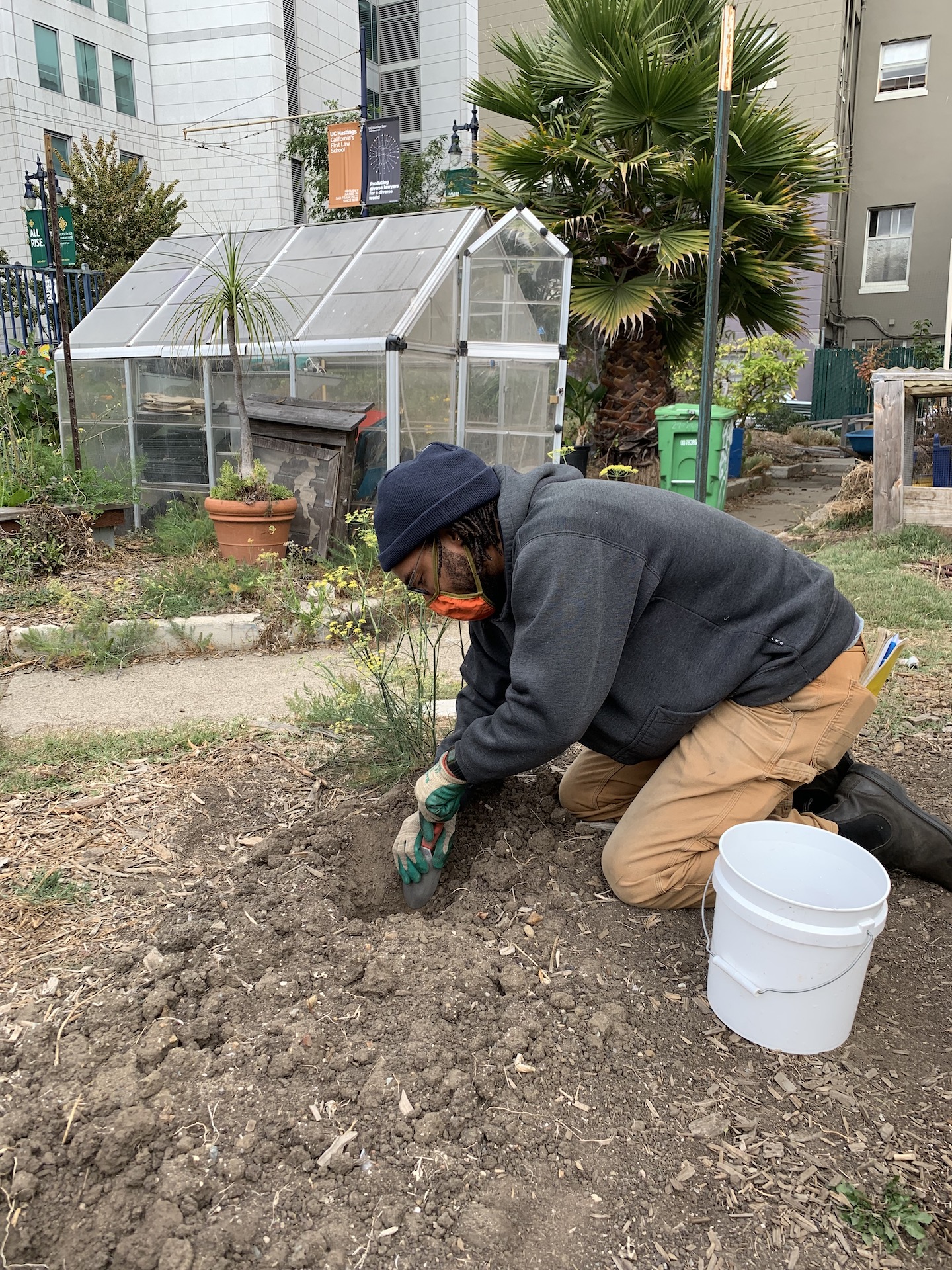 A black man in his 30's kneels in a patch of dirt, planting a small green plant. He wears orange pants and a grey sweatshirt. A bucket is beside him, and a greenhouse and palm tree are in the background. 