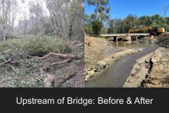 Upstream of Pescadero Creek Rd.  Before and After Project