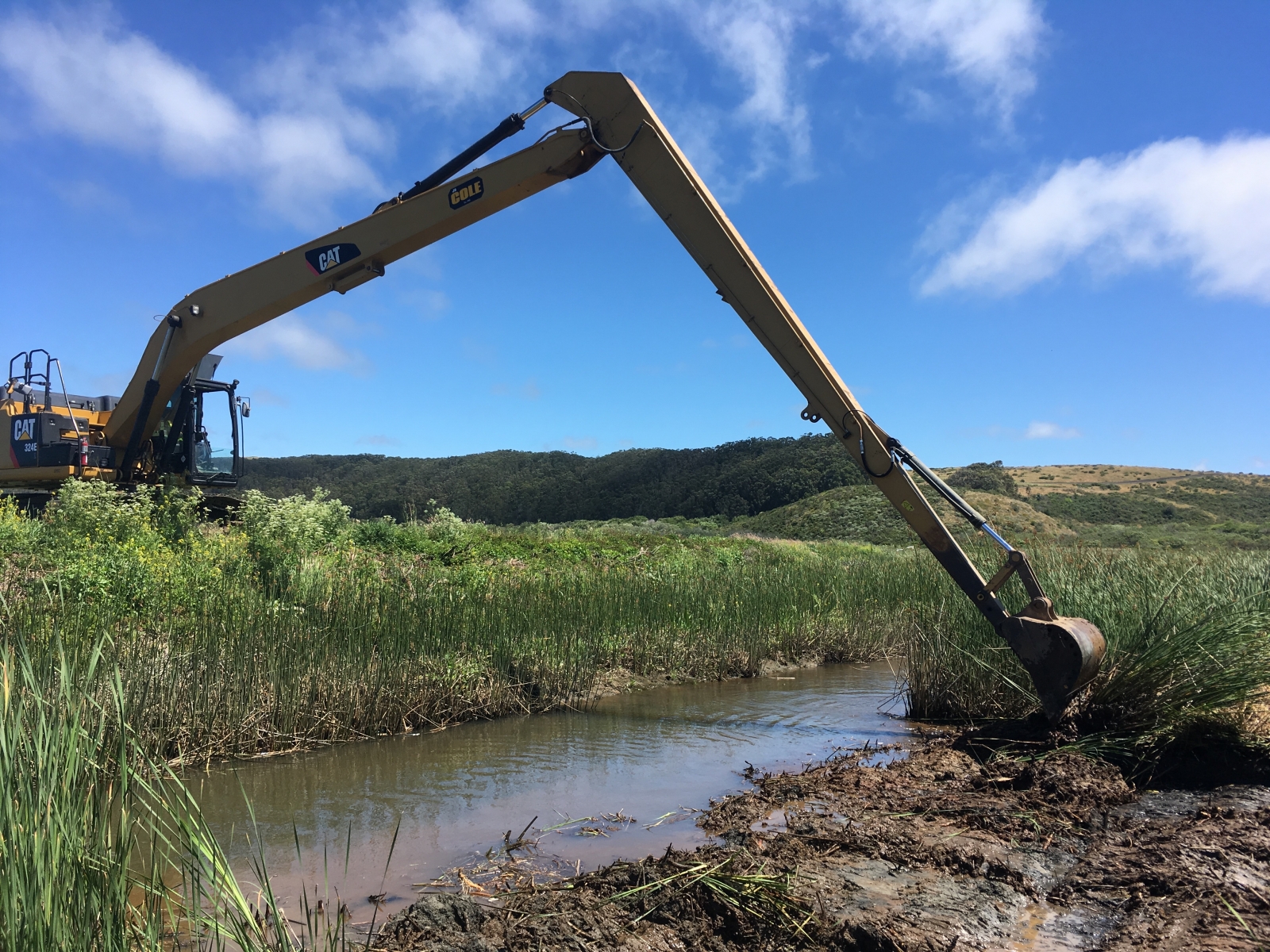 Long-reach excavator removing vegetation, June 2019.