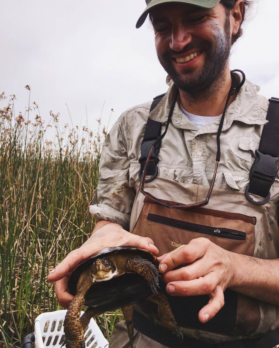 CDFW Staff Jon Jankovitz holding a western pond turtle found in Butano Marsh, June 2019