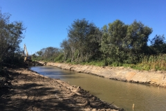Upper Reach Excavation - Looking downstream from Pescadero Creek Rd. Bridge, the excavator completes final excavation of the Butano channel.September 2019