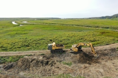 Aerial view of vegetation removal, July 2019.