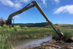 Long-reach excavator removing vegetation, June 2019.