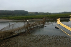 Checking for debris in fish exclusion screening, June 2019.
