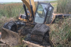 Excavator emerging from tules in Butano Marsh, July 2019