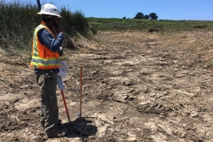 Project Manager Jim Robins surveys progress, July 2019