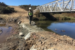Worker walks across the new marsh control structure next to the Pedestrian bridge in the Butano marsh. September 2019