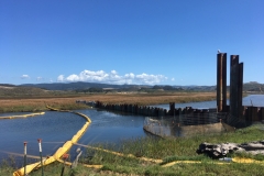 Sheet pile dam at outlet of Butano Chennel into Butano Marsh. September 2019