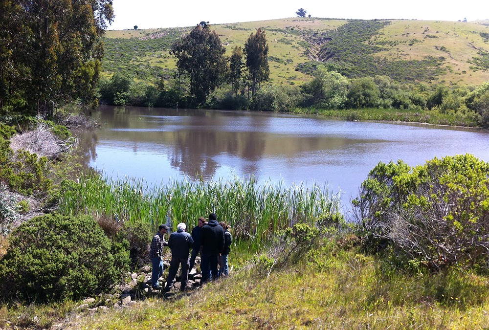100 Ponds Project