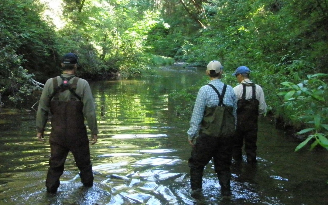 Integrated Watershed Restoration Program