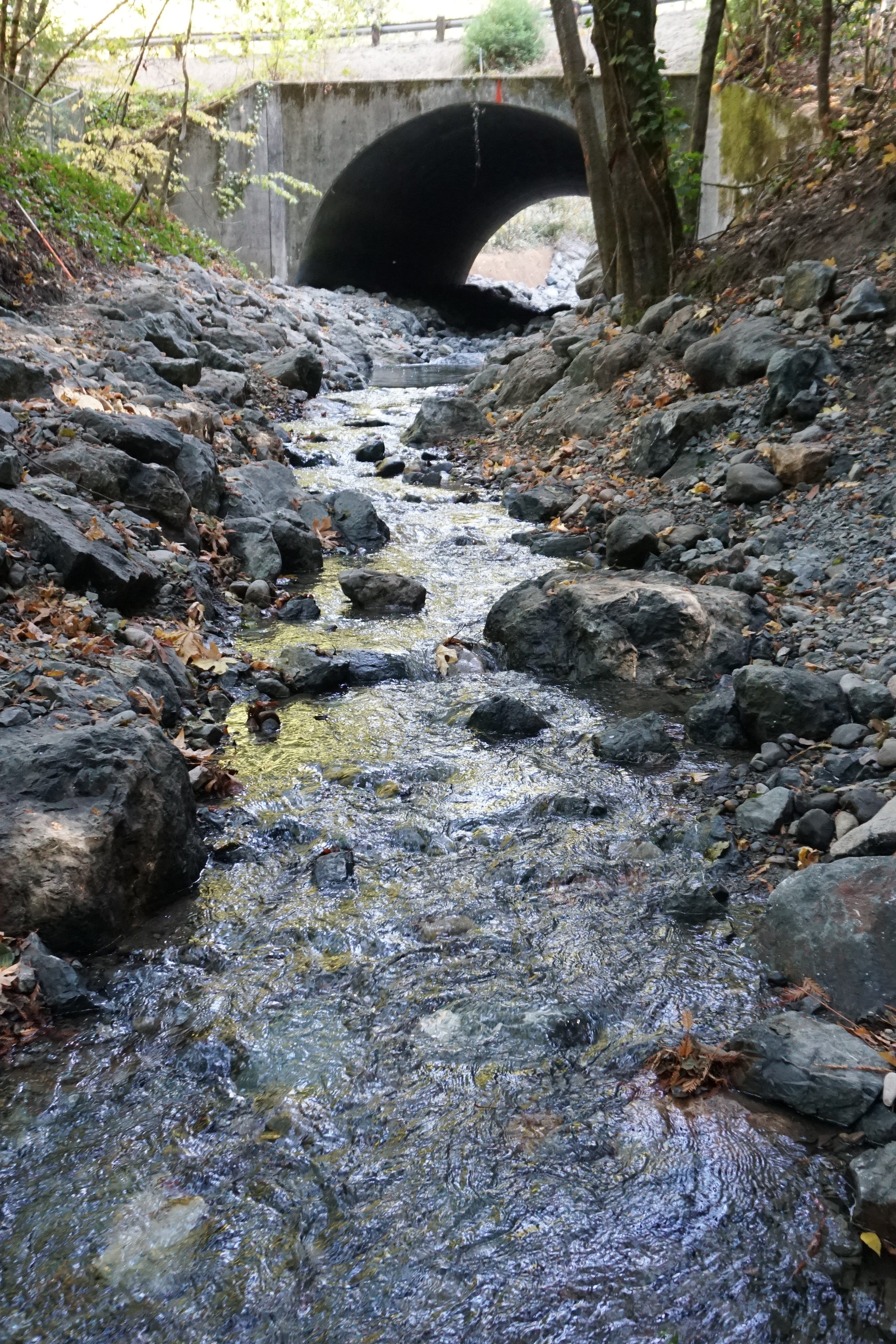 Image of the Alpine Creek Crossing at Pescadero Creek Road after the project. 