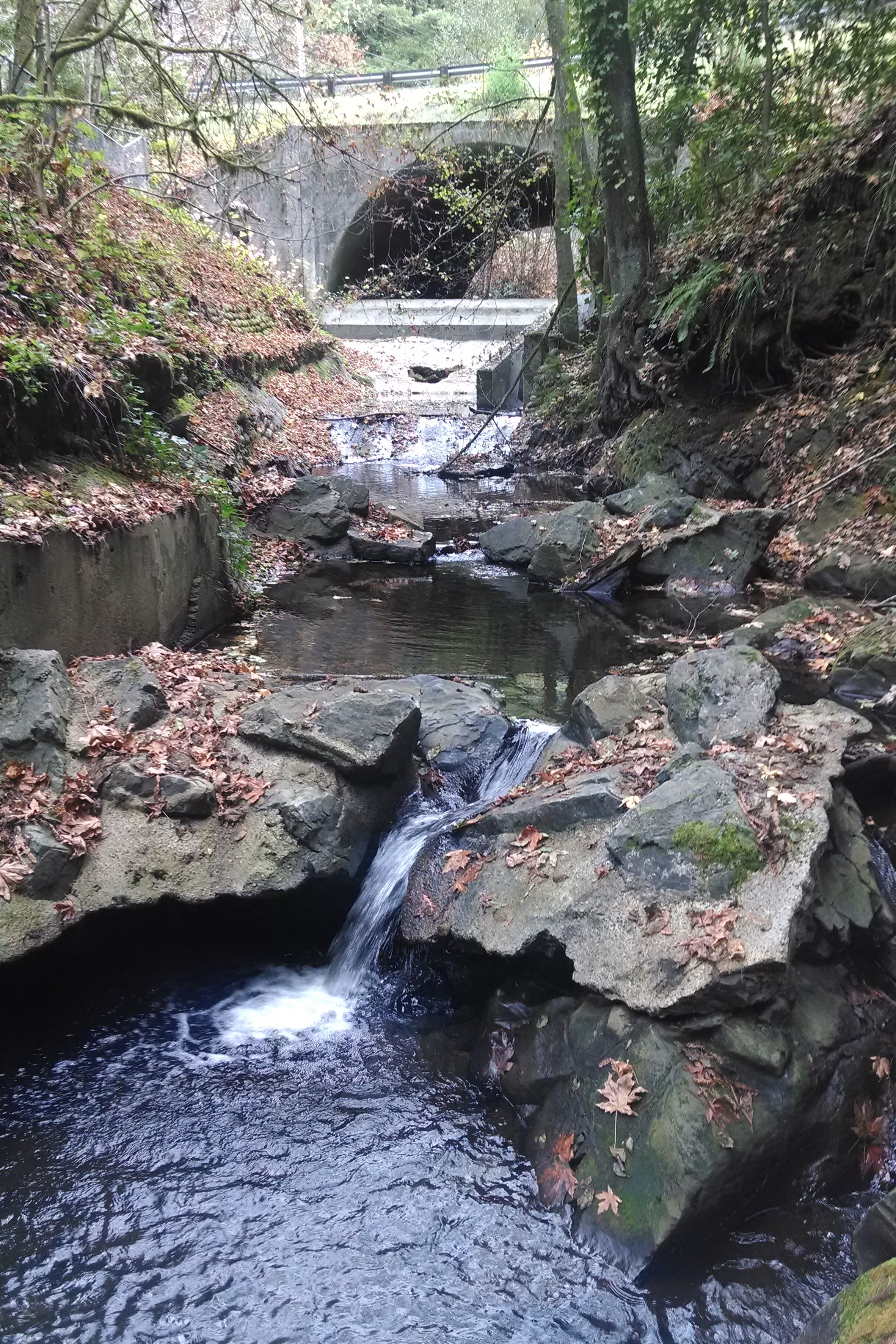 Image of the Alpine Creek Crossing at Pescadero Creek Road before the project. 