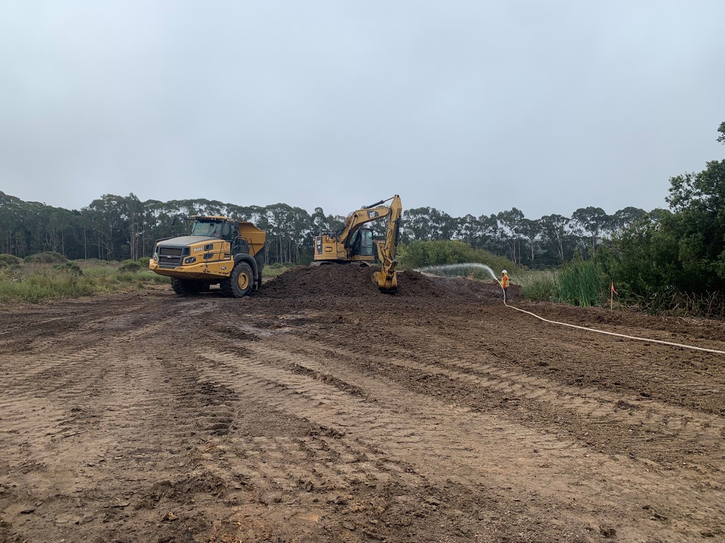 An image of a tan soil field with a yellow excavator in front of a tree screen.