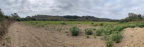 Butano RFB Photo 2