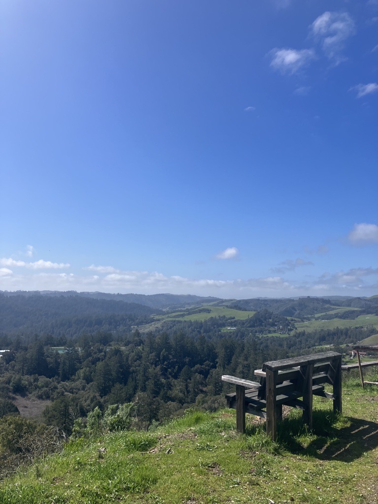 Vista Point from Cuesta La Honda Bench on a hill forest with a blue sky overhead.