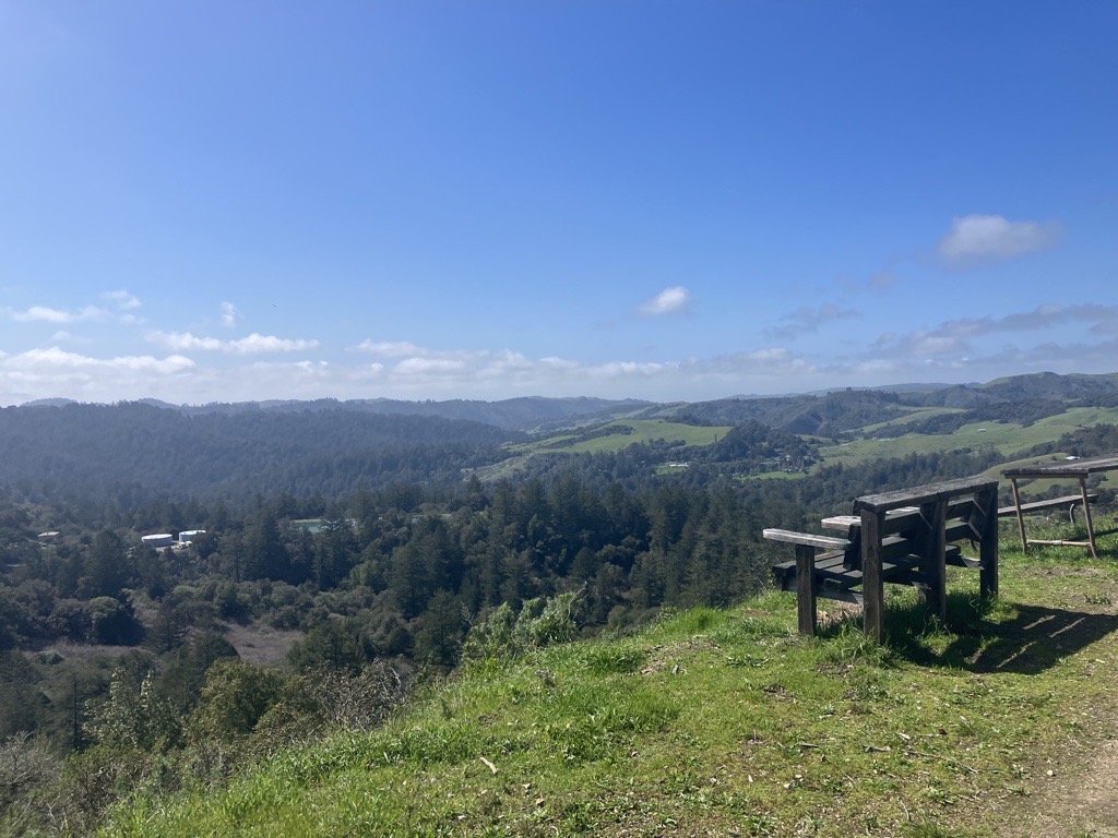 An image of a sunlit valley with grassland and mixed forest.