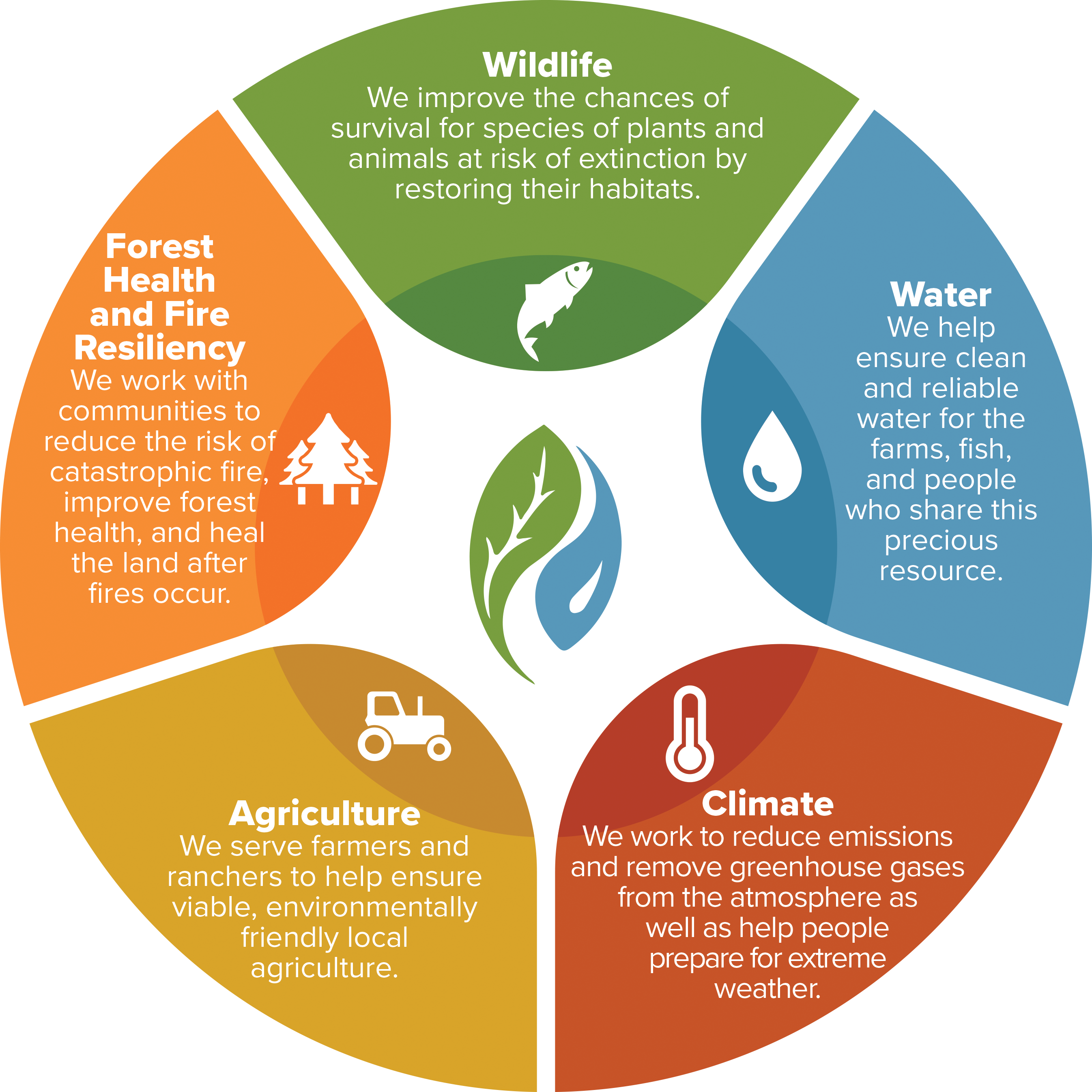 Pillars of our work Circular diagram divided into sections for Forest Health and Fire Resiliency, Wildlife, Water, Climate, and Agriculture.