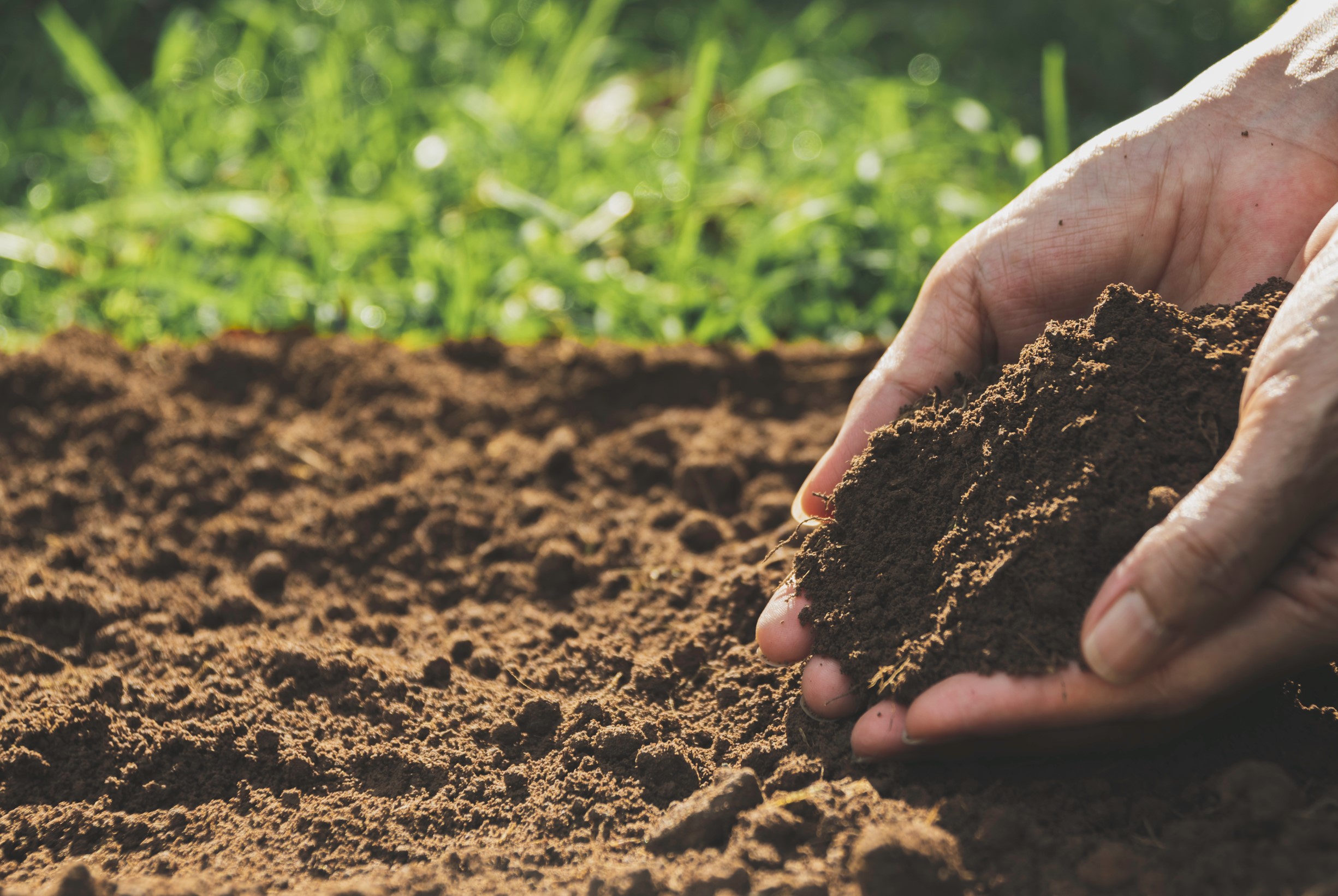 Soil Two hands scooping up dark, rich soil.