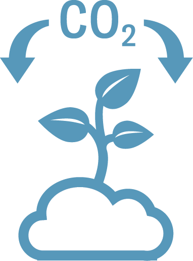 Draw down carbon dioxide Carbon sequestration icon with a plant sending CO2 from the atmosphere downward.