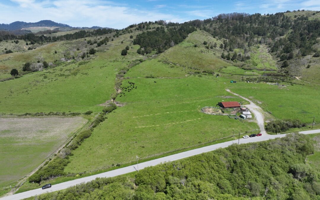 Johnston Ranch Habitat and Water Supply Improvement Project