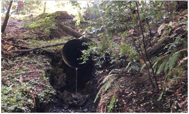 Wurr Road At Bloomquist Creek Culvert Repair Project And Wurr Road at Peterson Creek Culvert Repair Project
